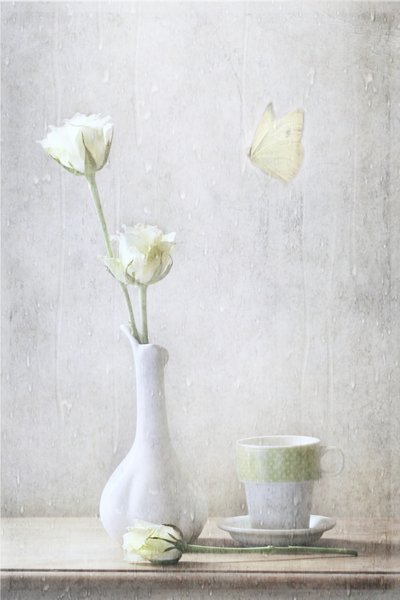 Delicate Roses and Butterfly by Delphine Devos