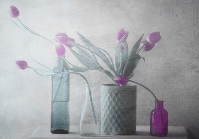 Dreamy Purple Tulips by Delphine Devos