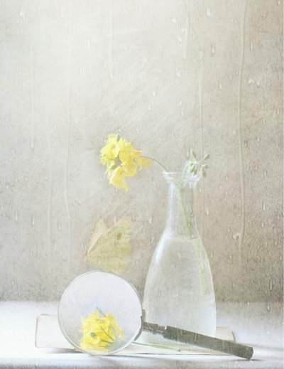 Dreamy Yellow Flowers by Delphine Devos