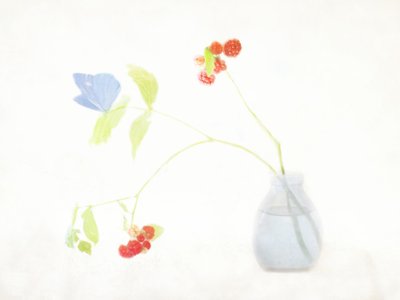 Ethereal Butterfly Still Life by Delphine Devos