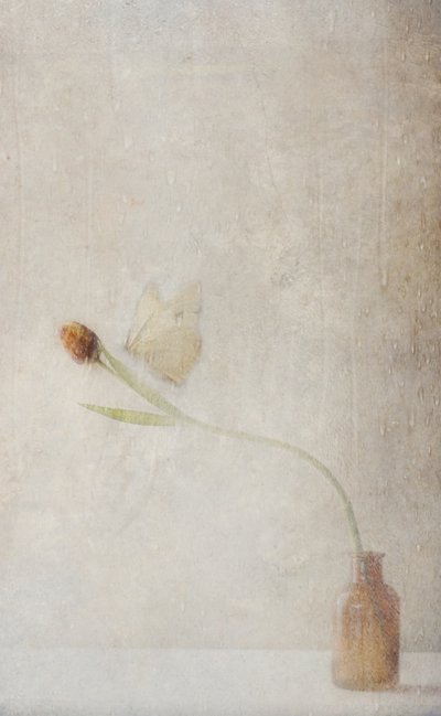Fading Tulip Still Life by Delphine Devos