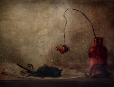 Melancholy Still Life by Delphine Devos