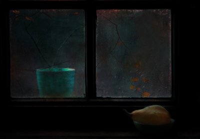 Moody Window Still Life by Delphine Devos