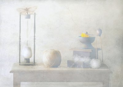 Moth on Hourglass by Delphine Devos