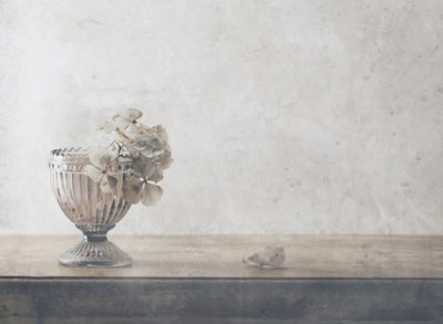 Muted Dried Flowers Still Life by Delphine Devos