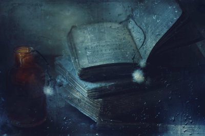 Old Books Rainy Day by Delphine Devos