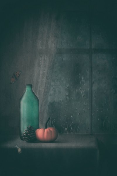 Rainy Autumn Still Life by Delphine Devos