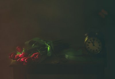 Red Tulips and Time by Delphine Devos