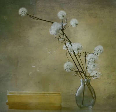 Serene Fluffy Flowers by Delphine Devos