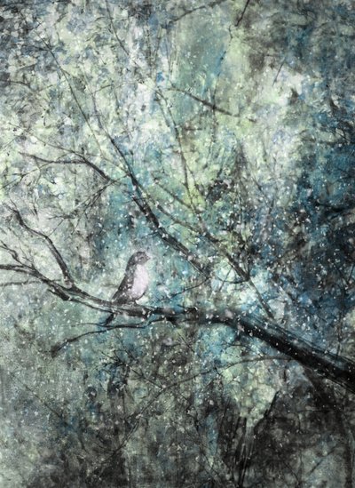 Serene Winter Bird by Delphine Devos