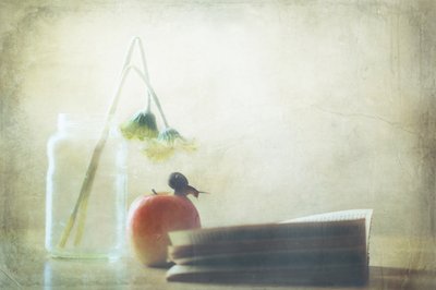 Snail Apple Quiet Moment by Delphine Devos