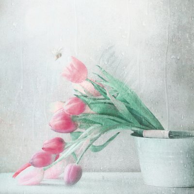 Soft Pink Tulips Rain by Delphine Devos