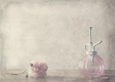 Vintage Pink Rose Perfume by Delphine Devos