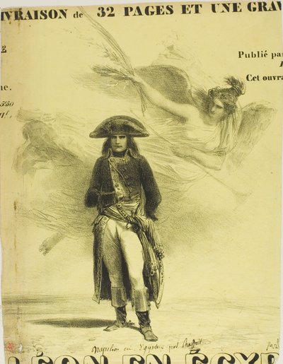 Napoleon in Egypt by Denis Auguste Marie Raffet
