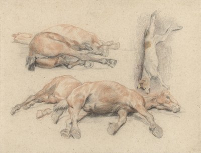 Studies of a Horse Carcass and a Dead Hanged Dog by Denis Auguste Marie Raffet