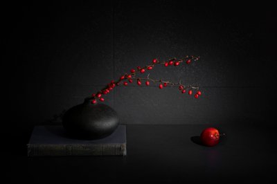 Red Berries Black Vase Still Life by Dennis Zhang