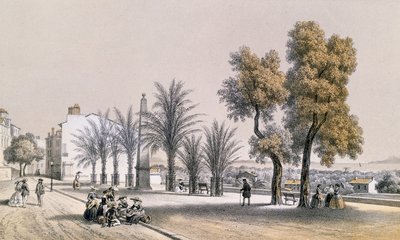 View of the Palm Promenade at Hyeres on the Cote d