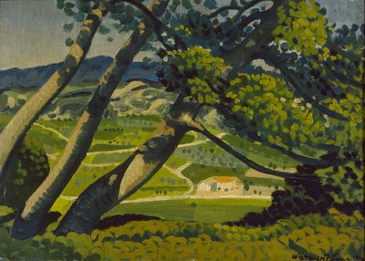Trees, Provence by Derwent Lees
