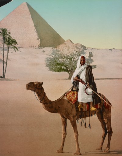 Bedouin on a Camel and the Great Pyramid, Cairo, Egypt by Detroit Photographic Co.