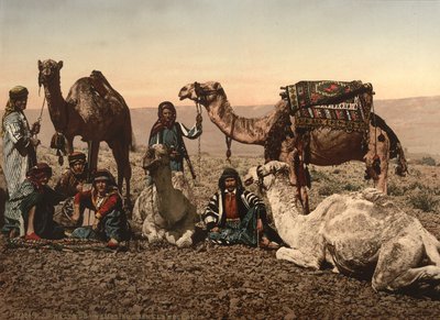 Camels Halting in the Desert, Holy Land, c.1890 by Detroit Photographic Co.