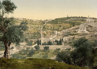 Mount of Olives and Gethsemane, general view, Jerusalem, c.1890-c.1900 by Detroit Photographic Co.