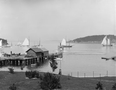 Bar Harbor, Mt. Desert Island, Maine, the harbour from Newport House, c.1901 by Detroit Publishing Co.