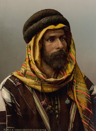 Bedouin Chief of Palmyra by Detroit Publishing Co.