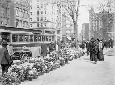 Flower Vendors, Easter Display, New York City, USA, c.1904 by Detroit Publishing Co.