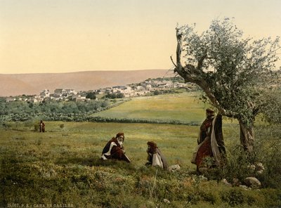 General View, Cana of Galilee, Holy Land, c.1890-1900 by Detroit Publishing Co.