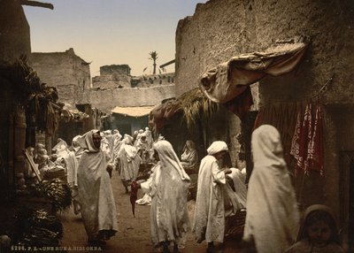 Algerian street in Sidi Okba, c.1899 by Detroit Publishing Co.