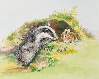Badger and a Rabbit by Diane Matthes