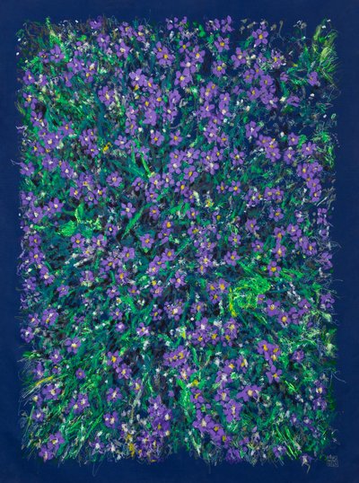 Beautiful Lesser Centaury Near Aldeanueva del Camino, 2025 by Diego Beyro