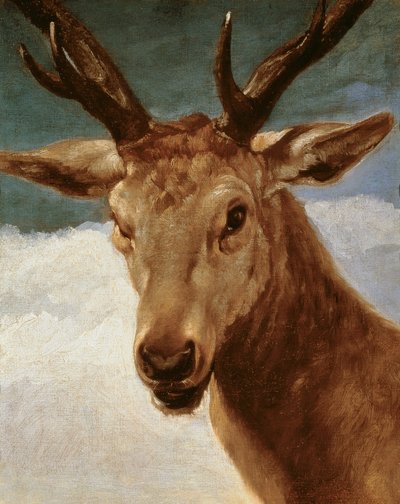 Head of a Stag by Diego Velázquez