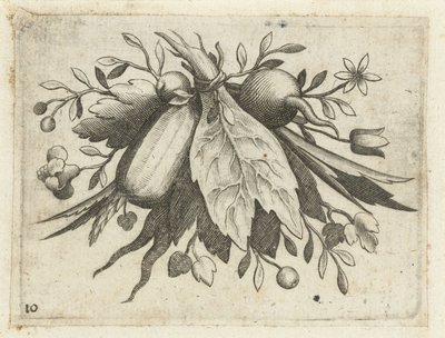 Festoon of fruits by Dietrich Krüger (attributed to)