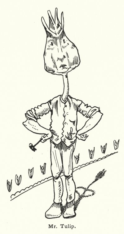 Mr Tulip by Dion Clayton Calthrop