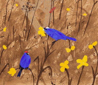 Primary Colours (Diadem Tanagers & Ceibo Tree) by Dione Verulam