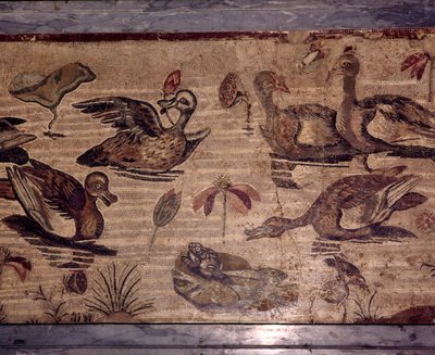 Roman Mosaic from Pompeii of Ducks and Frogs in a Water Garden by Dioscurides of Samos