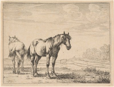 Two Plow Horses Standing in a Field by Dirck Stoop