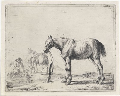 Horse Tied to a Post Facing Left by Dirk Stoop