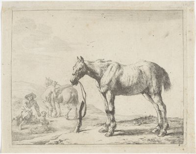Horse Tied to a Post Facing Left by Dirk Stoop