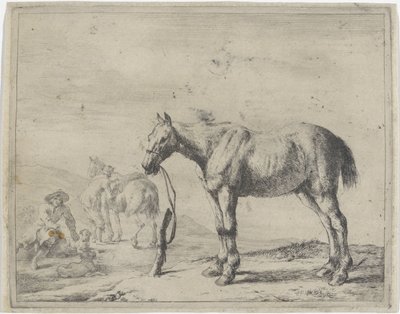 Horse tied to a post facing left by Dirk Stoop