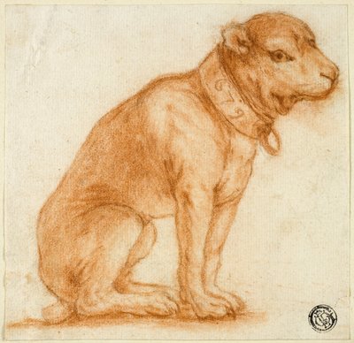 Seated Dog with Collar by Dirk Valkenburg