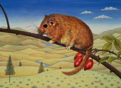 Dormouse Number Two by Ditz