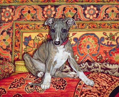 My Whippet Baby by Ditz