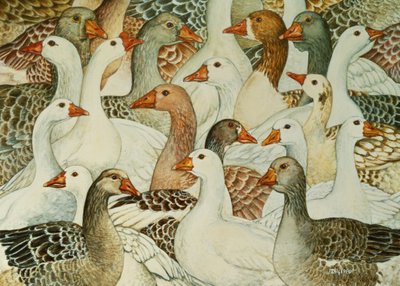 Patchwork Geese by Ditz