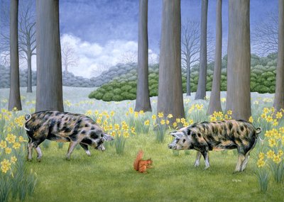 Piggy in the Middle by Ditz