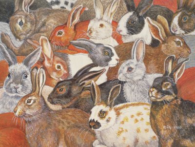 Rabbit-Spread by Ditz