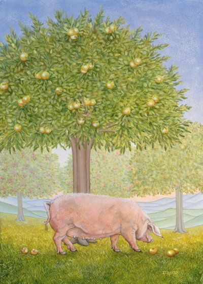 Right Hand Orchard Pig by Ditz