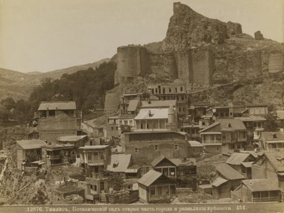 Tiflis by Dmitri Ivanovich Yermakov