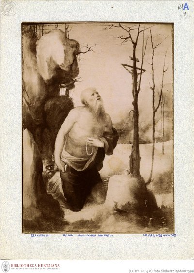 Penitent Jerome by Domenico Beccafumi